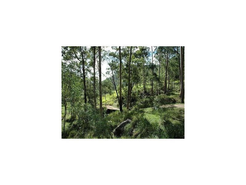 Laguna NSW 2325