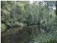 Laguna NSW 2325