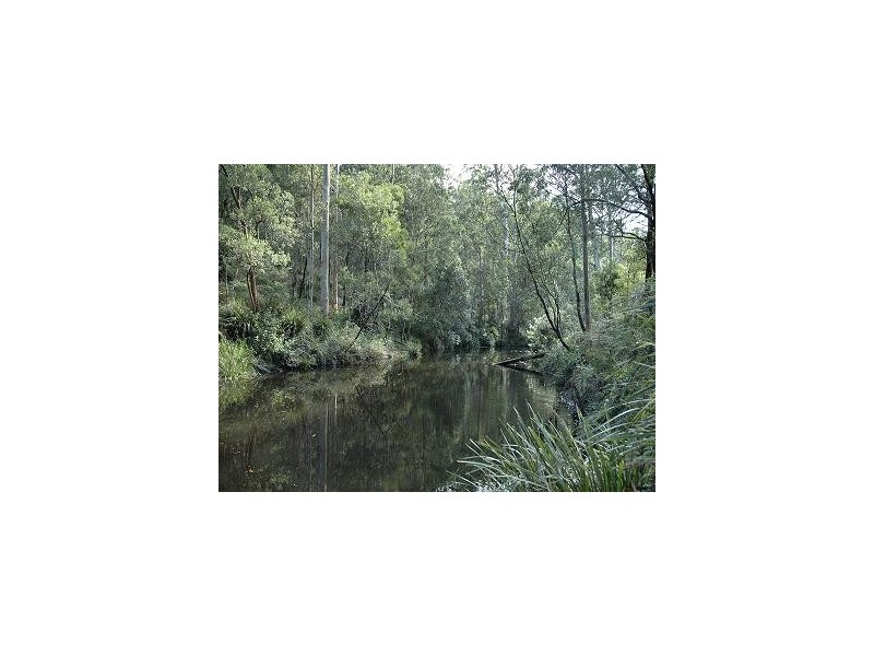 Laguna NSW 2325
