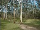 Laguna NSW 2325