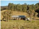 Laguna NSW 2325