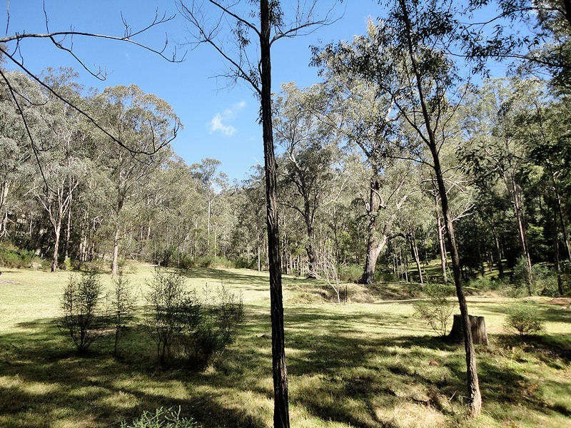 Laguna NSW 2325