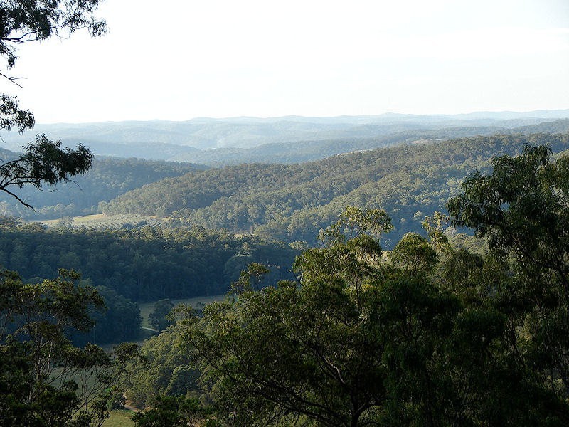 Laguna NSW 2325