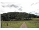 Wollombi NSW 2325