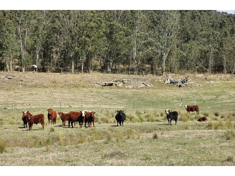 Wollombi NSW 2325