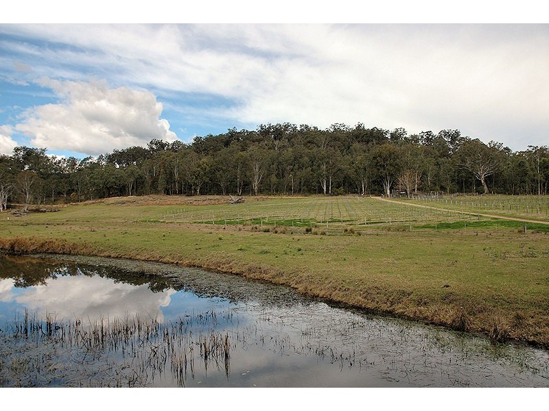 Wollombi NSW 2325