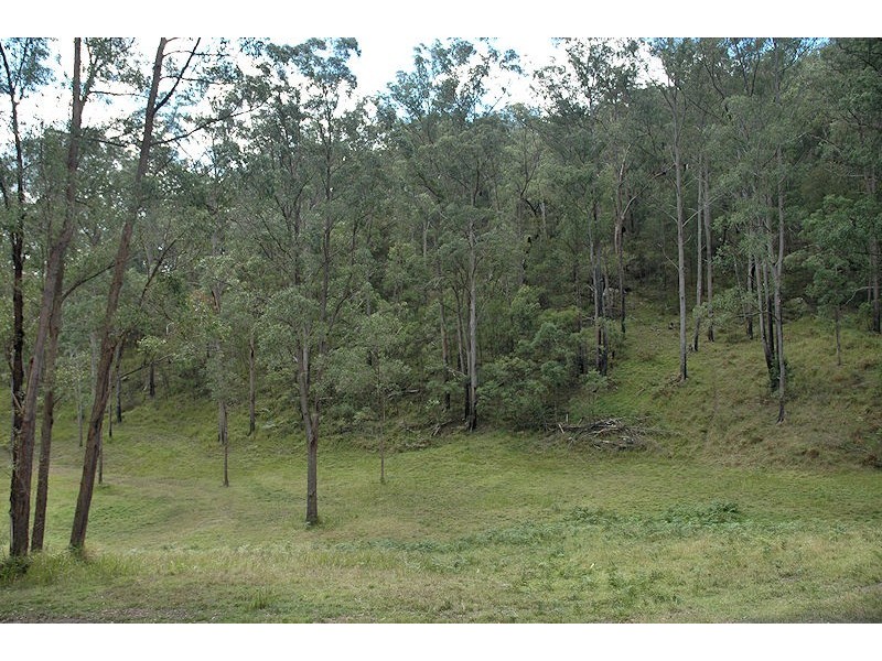 Laguna NSW 2325