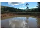 Laguna NSW 2325