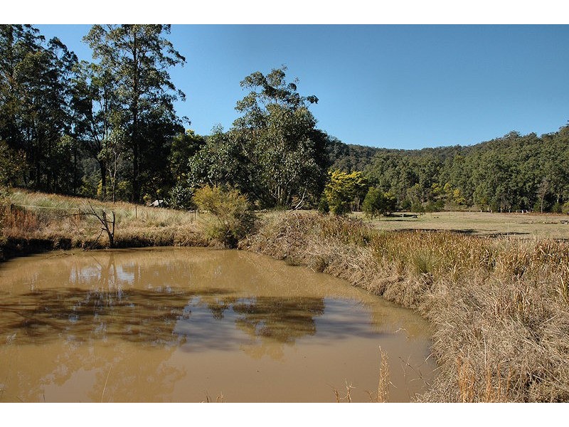 Laguna NSW 2325