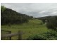Laguna NSW 2325