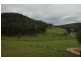 Laguna NSW 2325