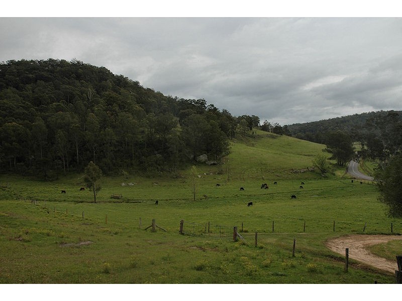 Laguna NSW 2325