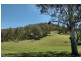 Laguna NSW 2325