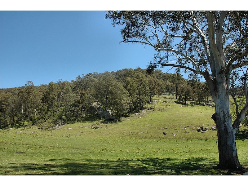Laguna NSW 2325