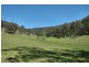 Laguna NSW 2325