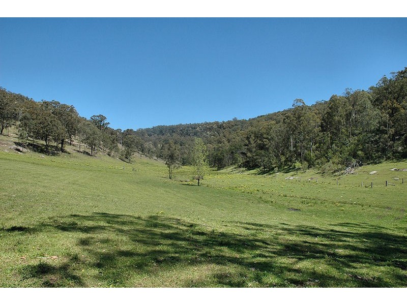 Laguna NSW 2325