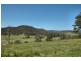 Laguna NSW 2325