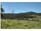 Laguna NSW 2325