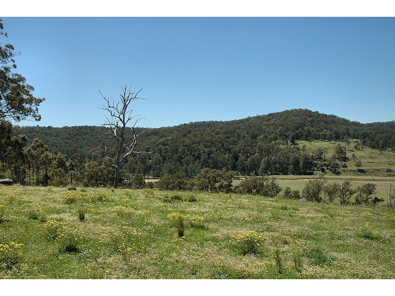 Laguna NSW 2325