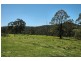 Laguna NSW 2325