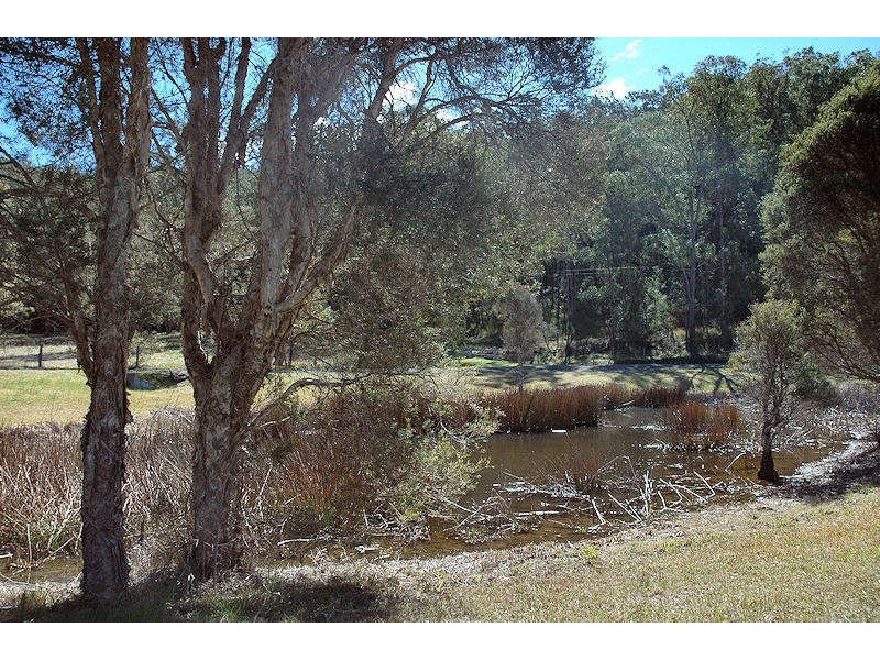 Laguna NSW 2325