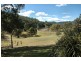 Laguna NSW 2325