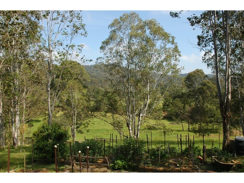Laguna NSW 2325