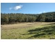 Wollombi NSW 2325