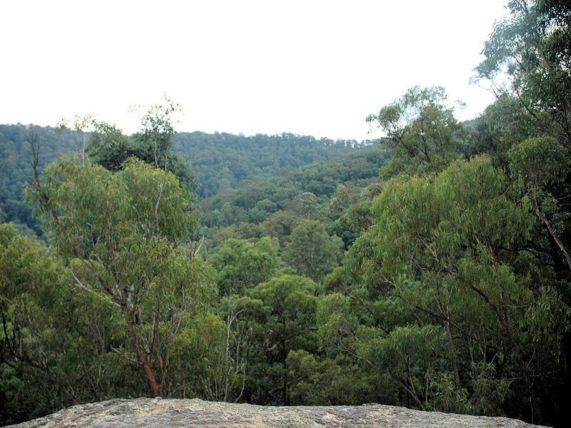 Cedar Creek NSW 2325