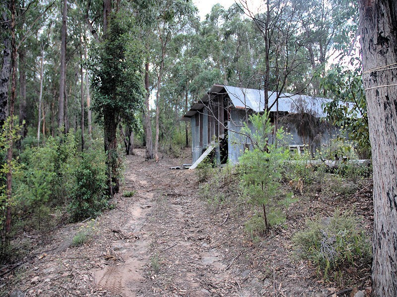 Cedar Creek NSW 2325
