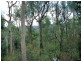 Cedar Creek NSW 2325