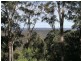 Cedar Creek NSW 2325