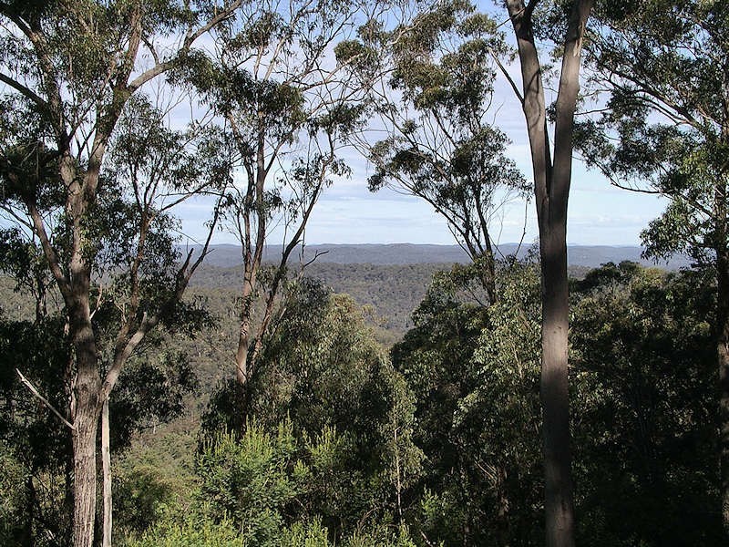 Cedar Creek NSW 2325