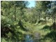 Paynes Crossing NSW 2325