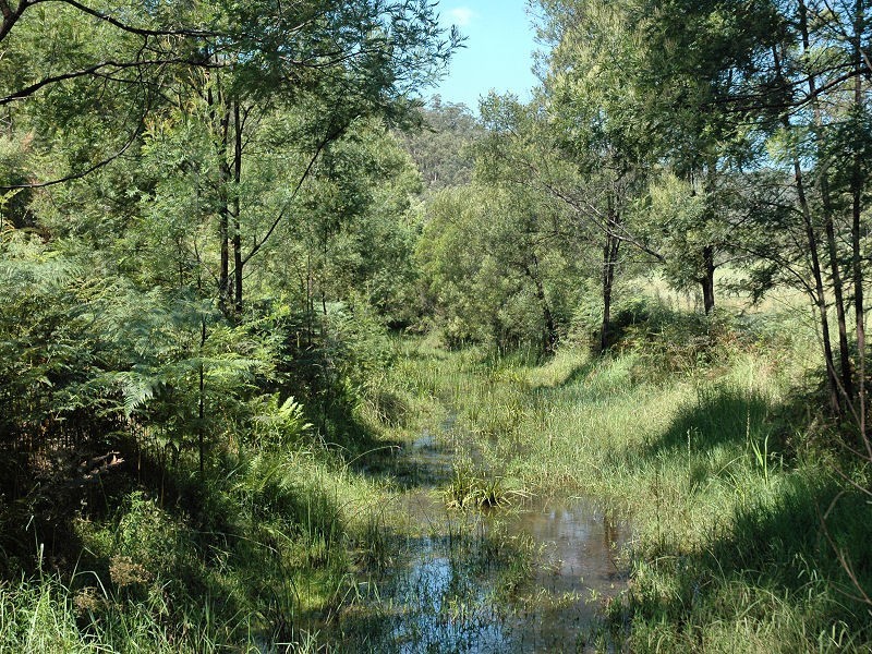 Paynes Crossing NSW 2325