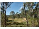 Laguna NSW 2325