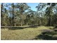 Laguna NSW 2325