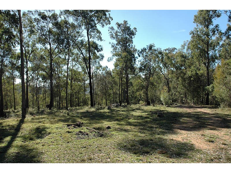 Laguna NSW 2325
