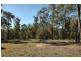 Laguna NSW 2325