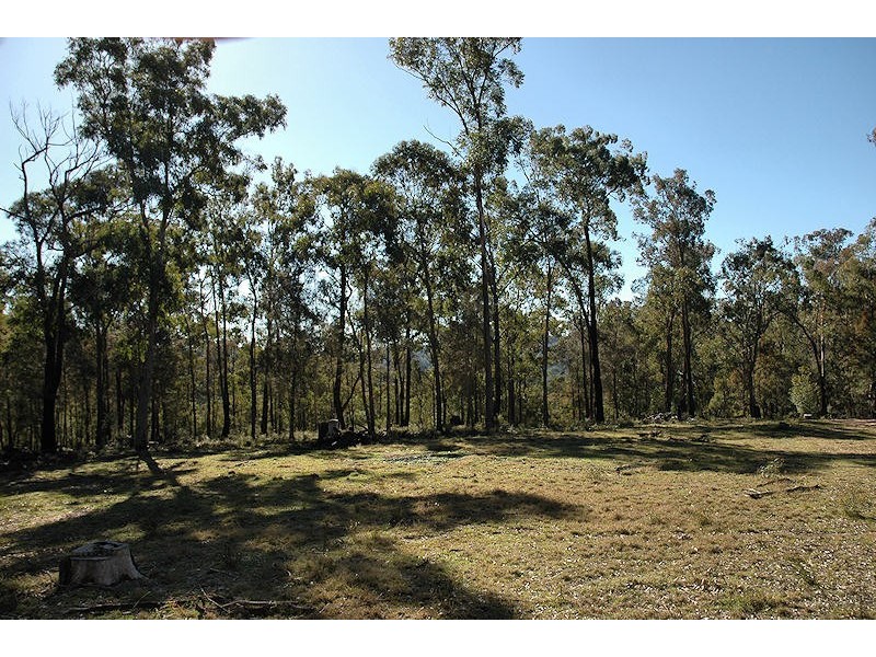 Laguna NSW 2325