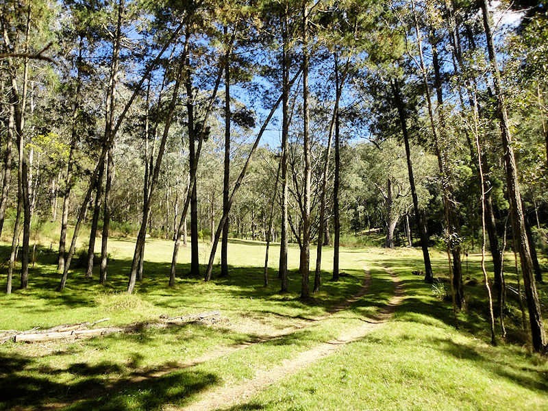 Laguna NSW 2325