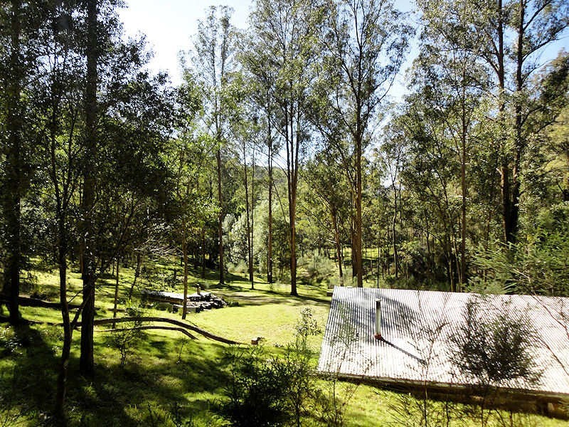Laguna NSW 2325