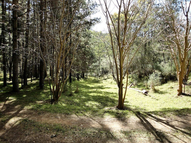 Laguna NSW 2325