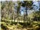 Laguna NSW 2325