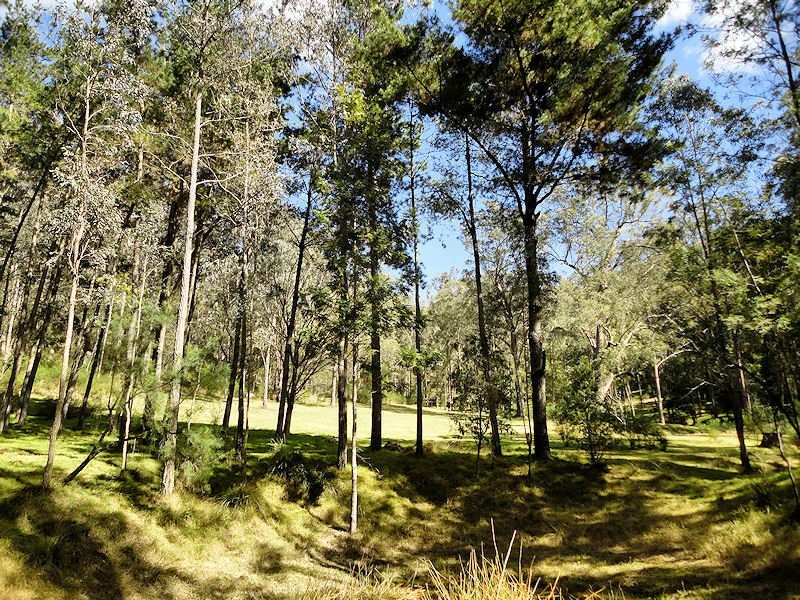 Laguna NSW 2325
