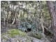 Laguna NSW 2325