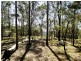 Laguna NSW 2325