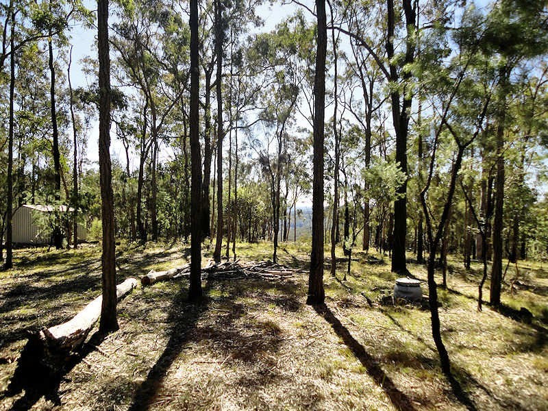 Laguna NSW 2325