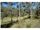 Laguna NSW 2325
