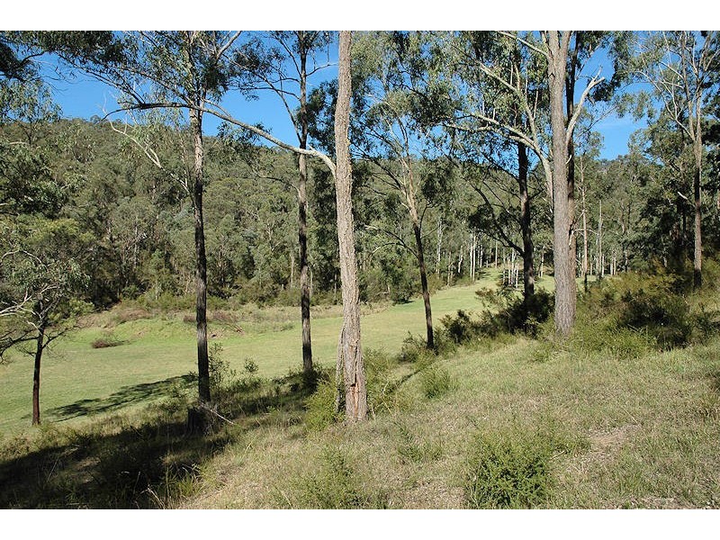 Laguna NSW 2325
